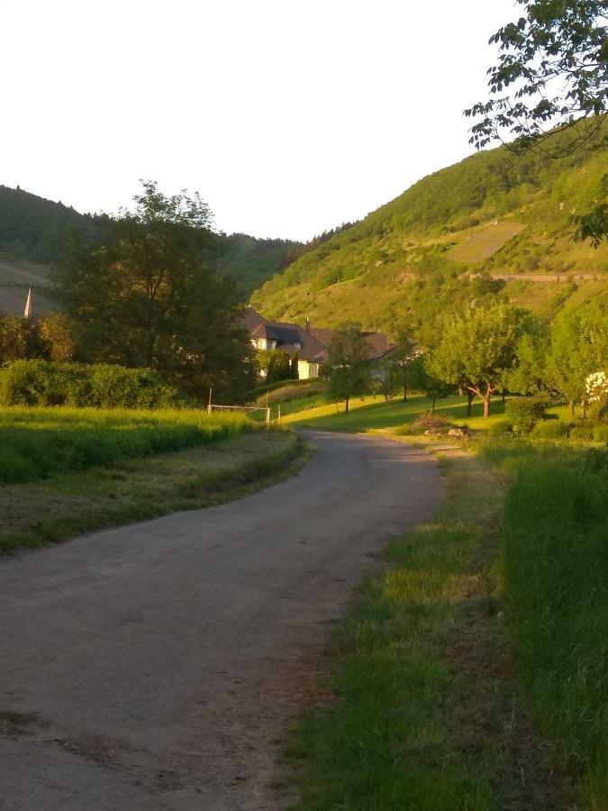 Gaestehaus Lavendel An Der Mosel เซนไฮม์ ภายนอก รูปภาพ