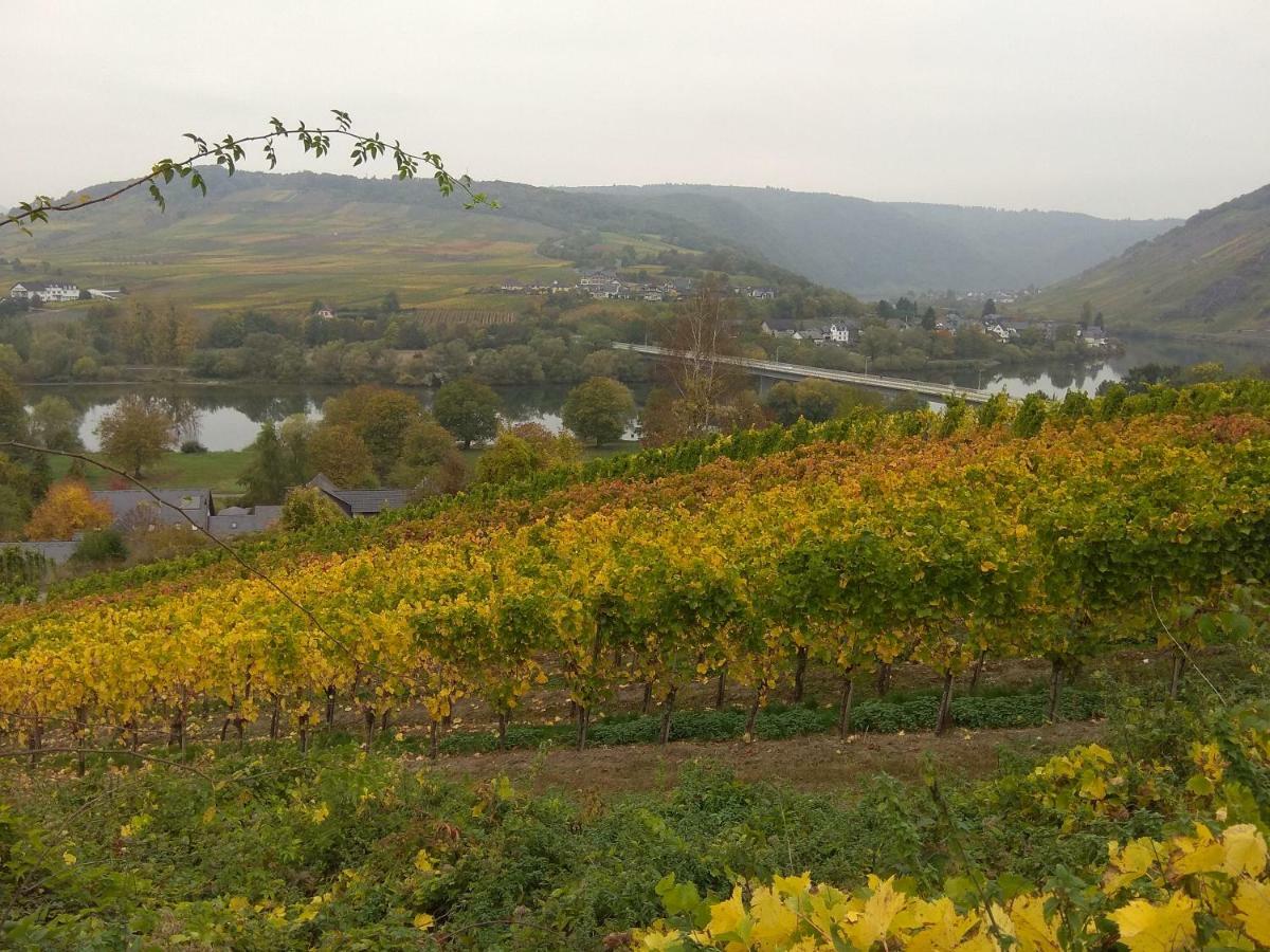 Gaestehaus Lavendel An Der Mosel เซนไฮม์ ภายนอก รูปภาพ