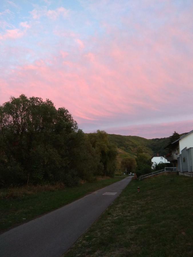 Gaestehaus Lavendel An Der Mosel เซนไฮม์ ภายนอก รูปภาพ